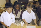 1st grade Science